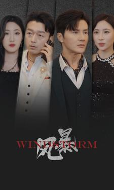 风暴（77集）火爆短剧热播中