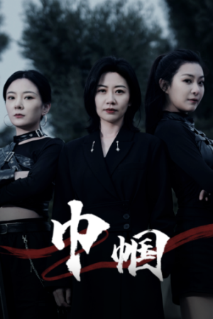 巾帼（69集）网盘在线观看