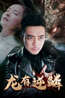 龙有逆鳞（81集）精彩短剧抢先看