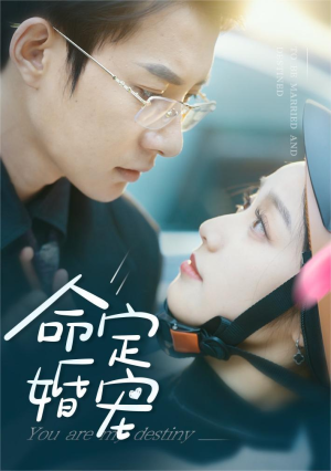 命定婚宠（61集）短剧精彩不断