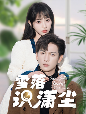 雪落识潇尘（80集）在哪看免费