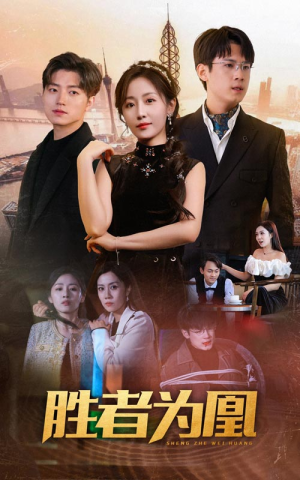 胜者为凰（89集）最后一集
