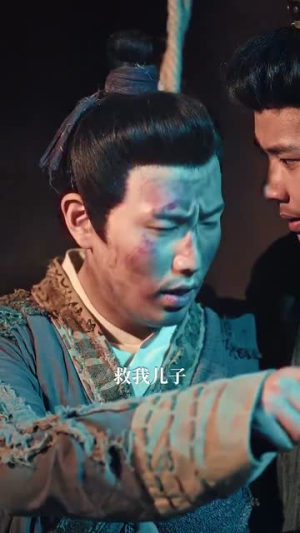 精忠报国（41集）短剧有好货推荐