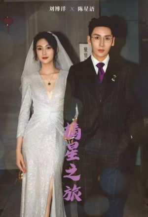 摘星之旅（88集）热播短剧追不停