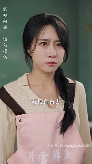 狂飙奶爸（100集）视频在线看