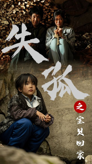 失孤之宝贝回家（71集）全集我都看完了