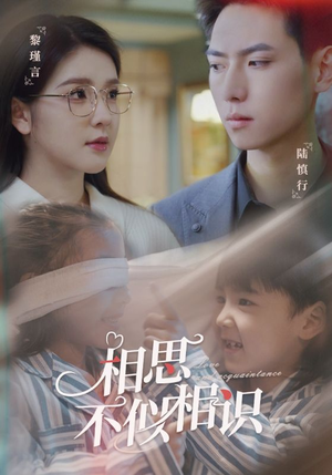 相思不似相识（101集）精彩短剧上线