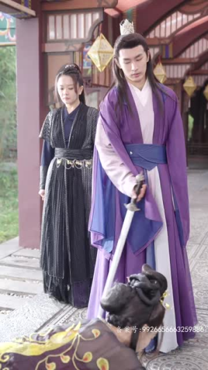 绝世枭雄（81集）短剧太精彩