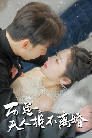 历总，夫人拒不离婚（61集）经典回顾免费看