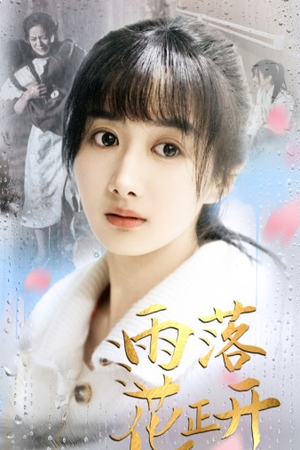 雨落花正开（62集）甜宠短剧推荐