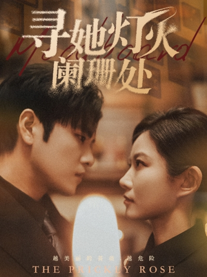 寻她灯火阑珊处（61集）无需会员轻松看