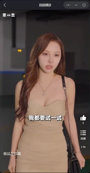 我的富豪美女总裁（我的极品女总裁）爱上了这部剧了