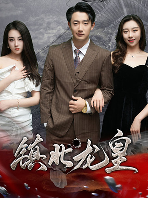 镇北龙帅（97集）一口气看完