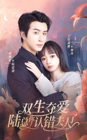 双生夺爱陆总你认错夫人了（94集）看到了大结局