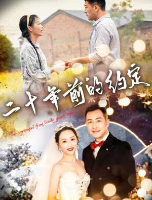 二十年前的约定（57集）全集免费观看