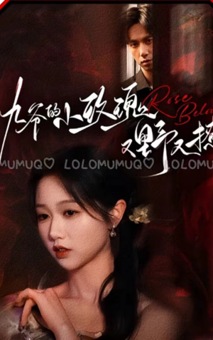 九爷的小玫瑰又野又撩(100集) 九爷的小玫瑰又野又撩(100集)精彩短剧天天看