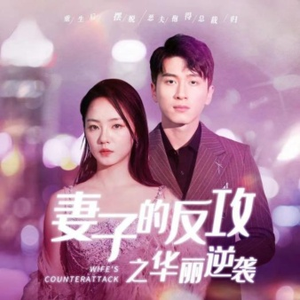 妻子的反攻之华丽逆袭(30集) 妻子的反攻之华丽逆袭(30集)全部免费看全集