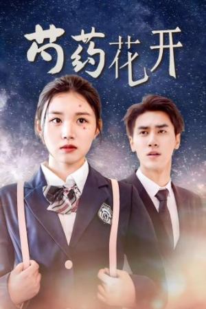 芍药花开（77集）好看的国产短剧