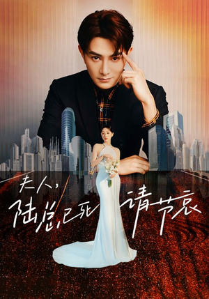 夫人，陆总已死请节哀（95集）我真的爱了