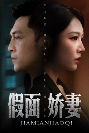 娇妻的谎言（72集）女主谁演的