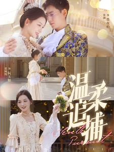 温柔追捕（89集）短剧精彩绝伦