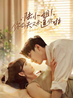 陆小姐！你前夫又来追你啦（67集）短剧热门推荐