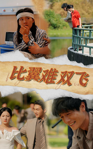 比翼难双飞（30集）古装短剧热播