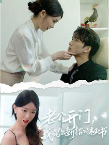 老公开门，我是你新招的秘书（40集）口碑之选免费看