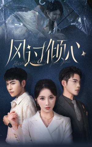 风过倾心（62集）在哪个app能看