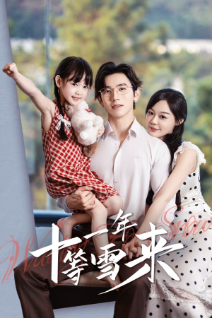 十一年等雪来（50集）火爆短剧推荐