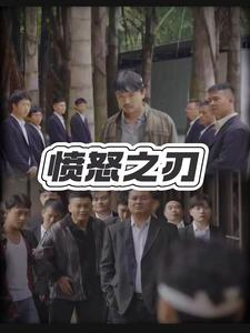 愤怒之刃（35集）在线观看全集