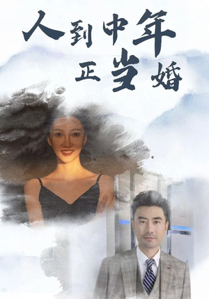 人到中年正当婚（81集）免费短剧就是爽