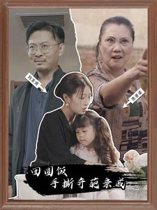 团圆饭手撕奇葩亲戚（40集）热门短剧推广