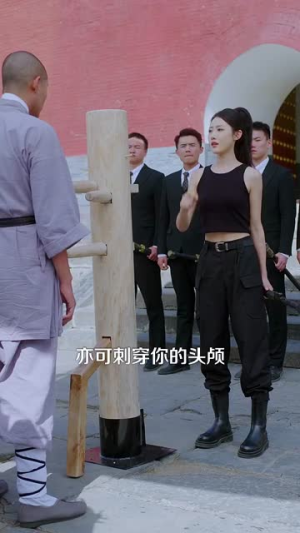 天下嵩山（29集）分享热门短剧