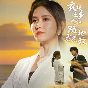 衣锦还乡，所有人跪地求原谅（40集）直接看到大结局