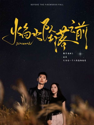 焰火坠落之前（99集）抢先看新短剧