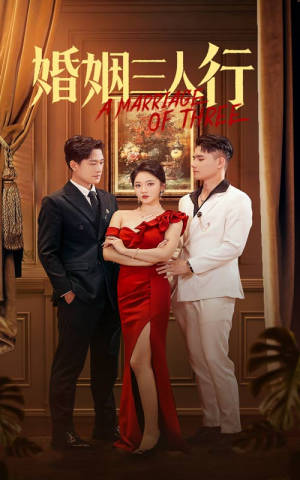 婚姻三人行（31集）无需会员轻松看