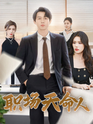 职场天命人（76集）热播短剧排行榜