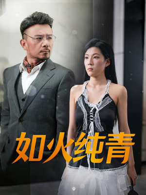 如火纯青（45集）解说