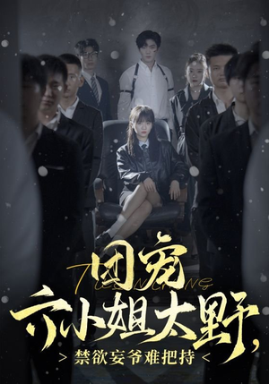 团宠六小姐太野，禁欲妄爷难把持（90集）百度网盘资源