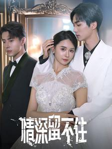 情深留不住（80集）短剧看全集