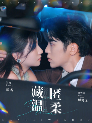 藏匿温柔（99集）短剧太好看