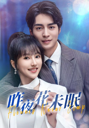 昨夜花未眠（32集）爆款热门短剧