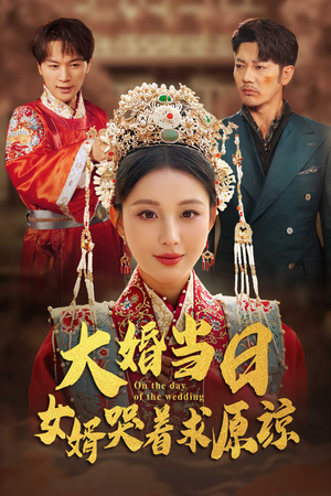 大婚当日，女婿哭着求原谅（31集）每日短剧追不停