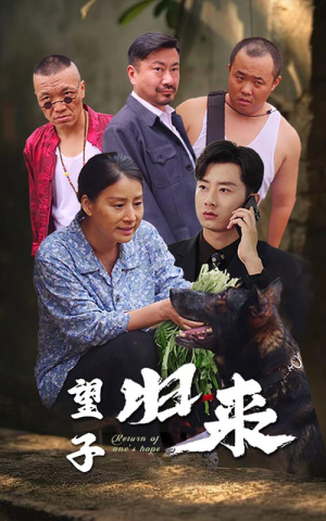 望子归来（50集）在线看完整版