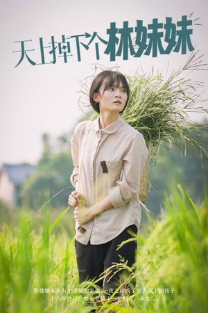 天上掉下个林妹妹（81集）爆火短剧追不停