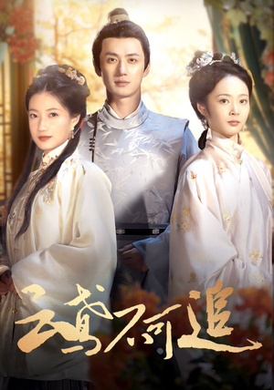 云鸢不可追（42集）高清无码免费看