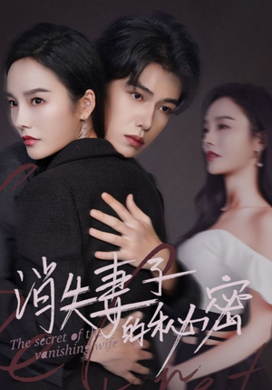 消失妻子的秘密（60）短剧前十排行榜