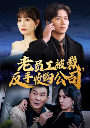 老员工被裁反手收购公司（34集）爱上了这部剧了