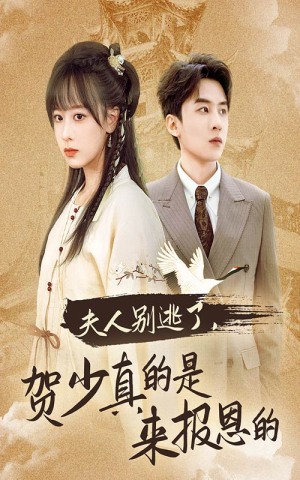 夫人别逃了贺少真的是来报恩的（63集）全剧免费观看